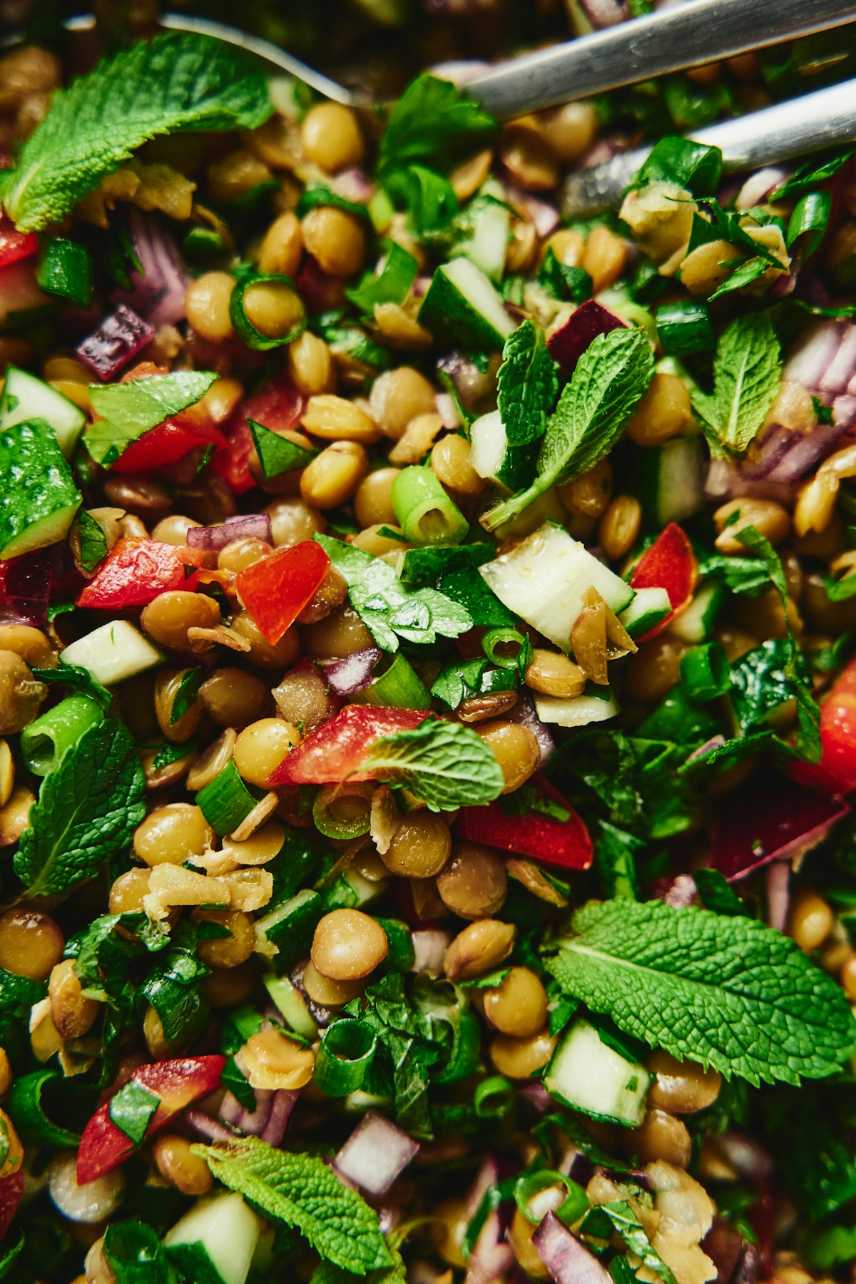 Yeşil Mercimek Salatası için sunum önerisi